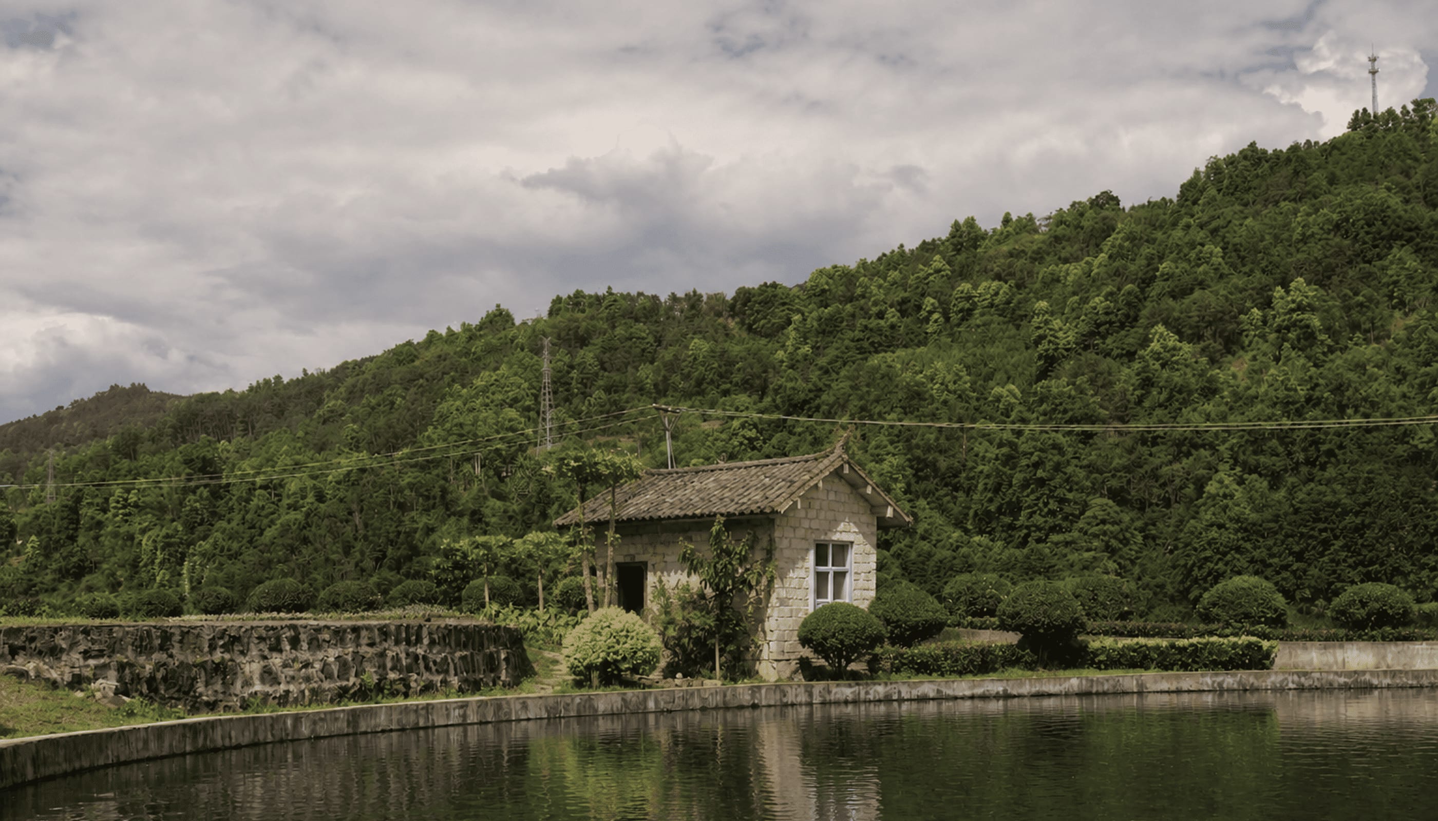 Misty lake at the source of Maison Rocheval caviar
