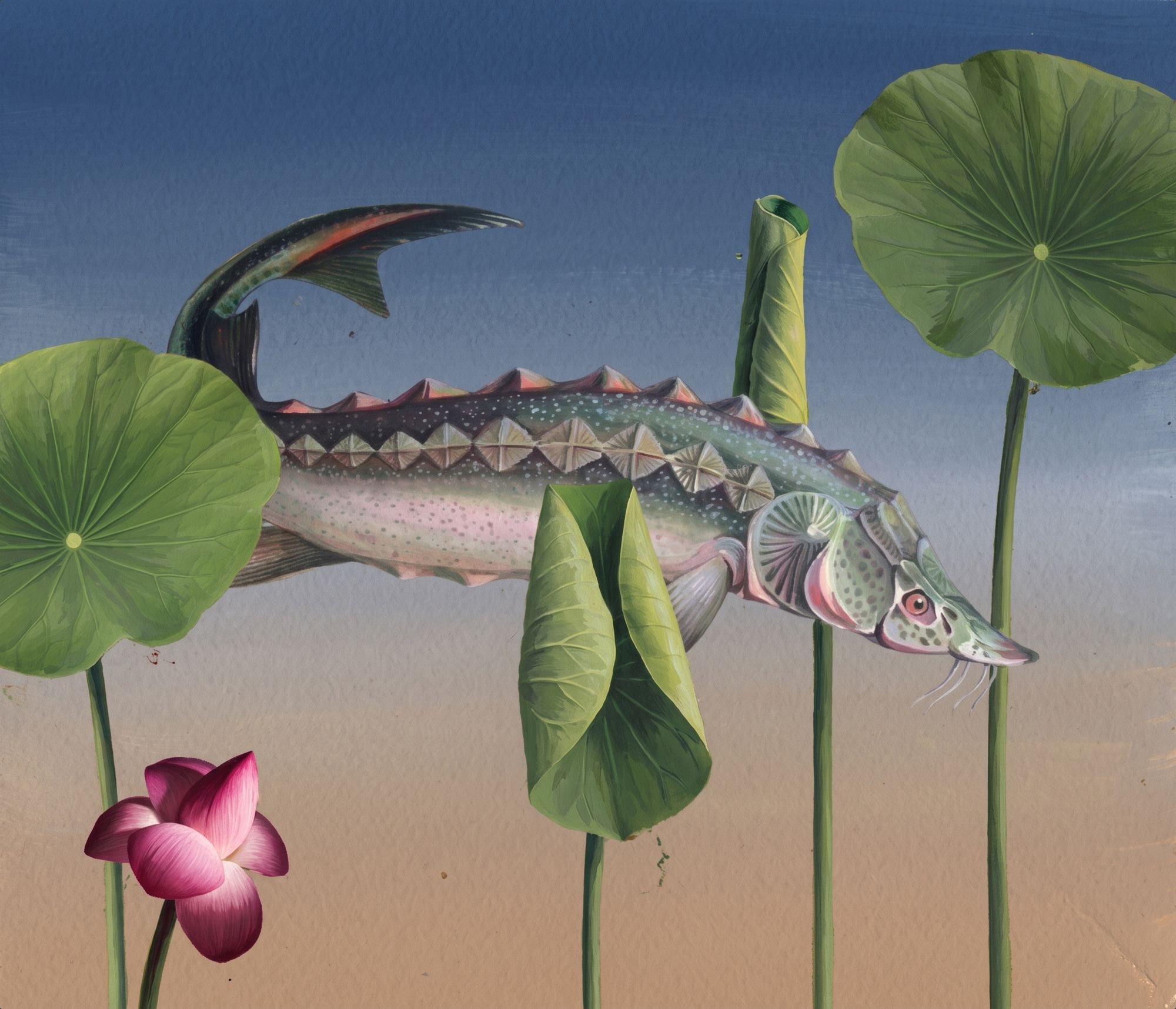 An illustrated sturgeon swimming past lotus leaves and a lotus flower