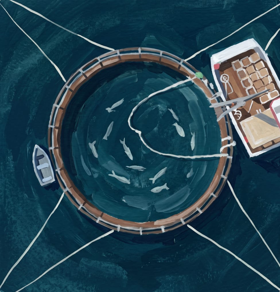 A circular sturgeon rearing pen on the water, tended from a small boat